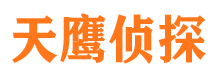 越城市侦探